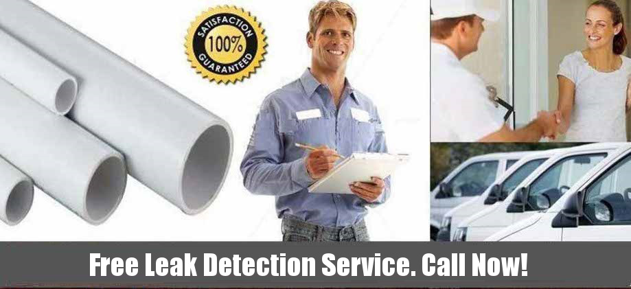 TSR Trenchless Services Free Leak Detection